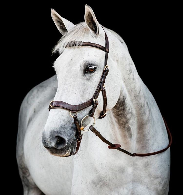 Horseware micklem multi bridle 2