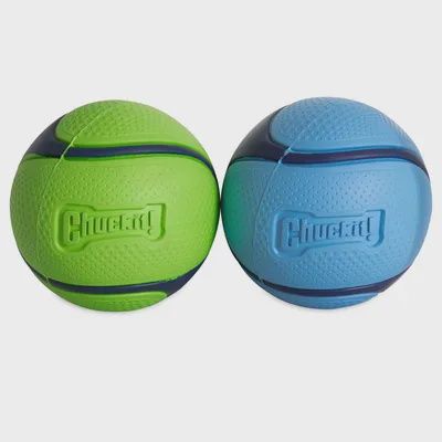 Chuckit duo sniff fetch ball