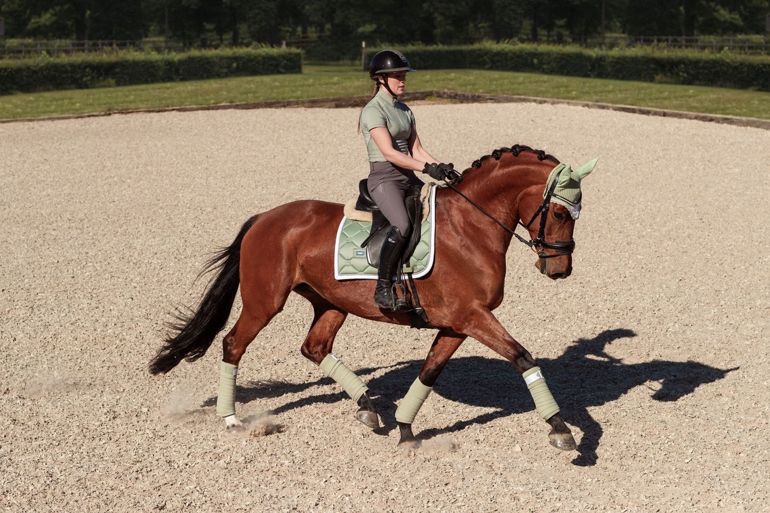Equestrian Stockholm dressage pistachio White