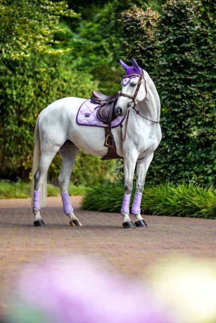Equestrian Stockholm jumping lavender