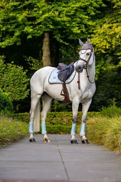 Equestrian Stockholm jumping ice blue