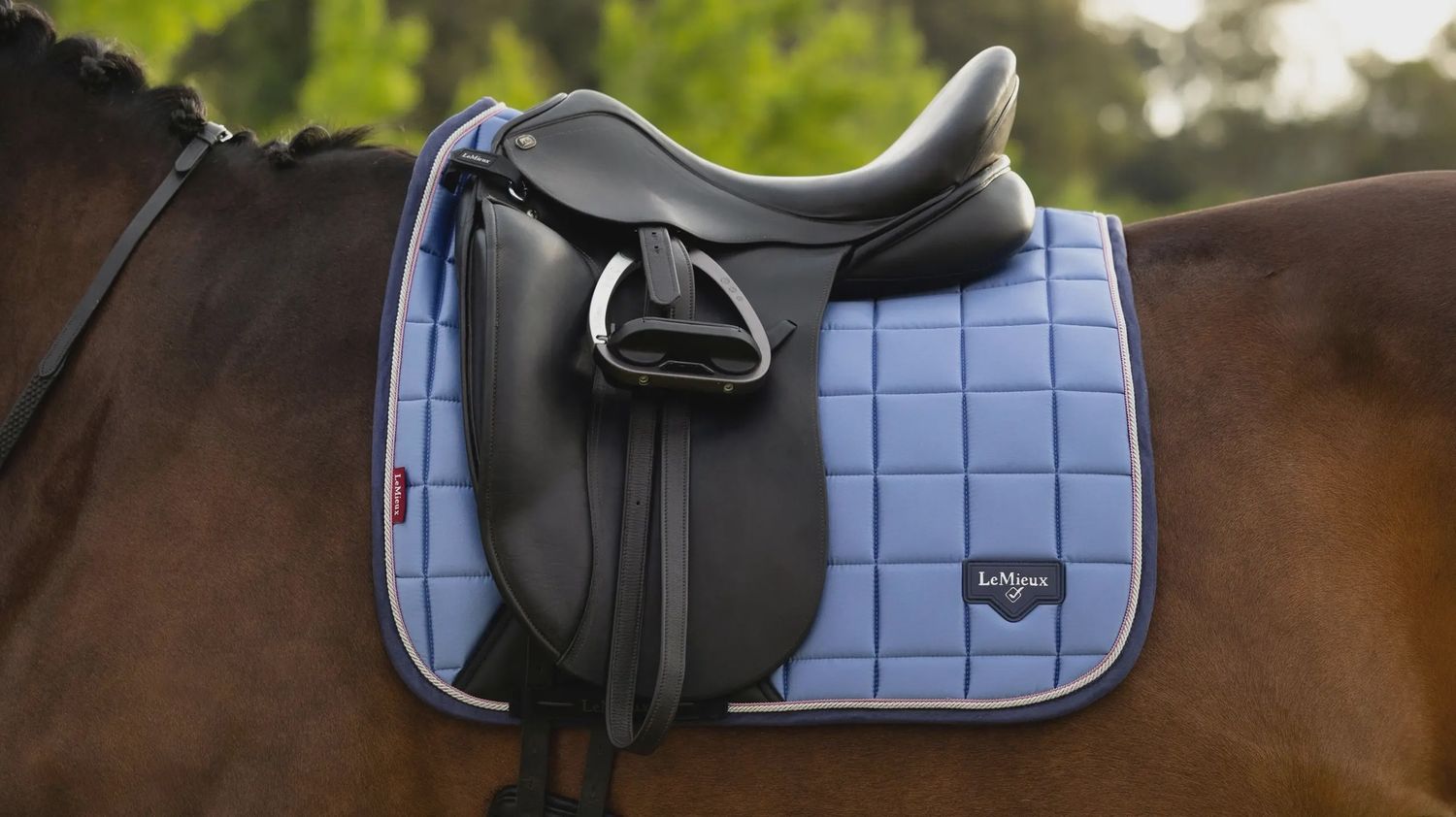 Lemieux Loire dressage powder blue