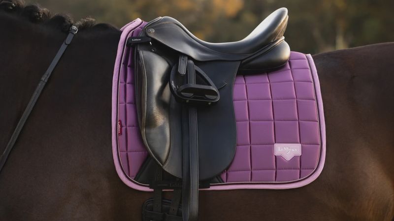 Lemieux Loire dressage Mallow