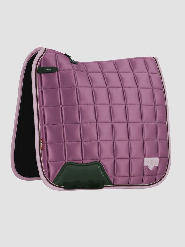 Lemieux Loire dressage Mallow