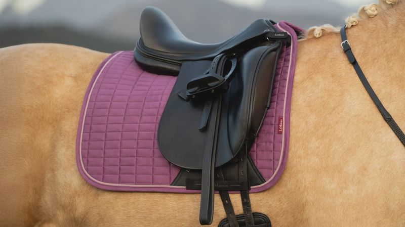 Lemieux suède dressage mallow L