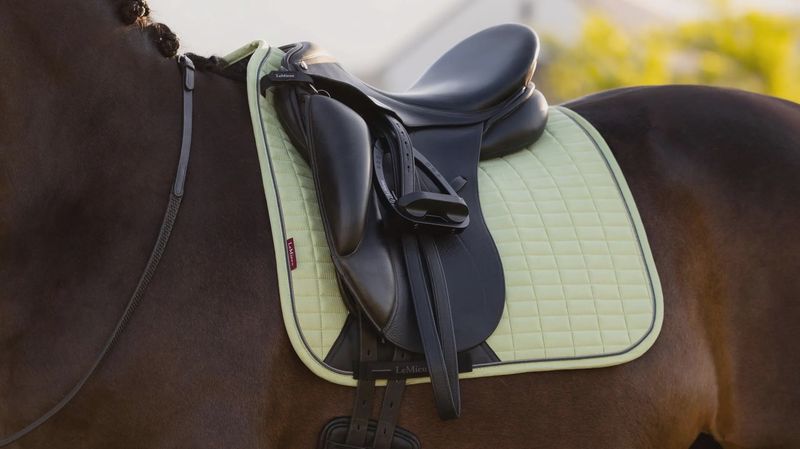 Lemieux suède dressage macaron L