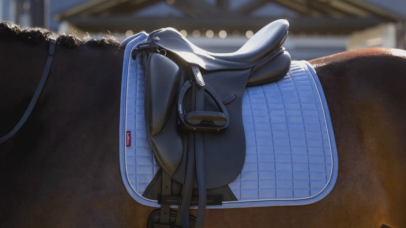 Lemieux suède dressage powder blue L