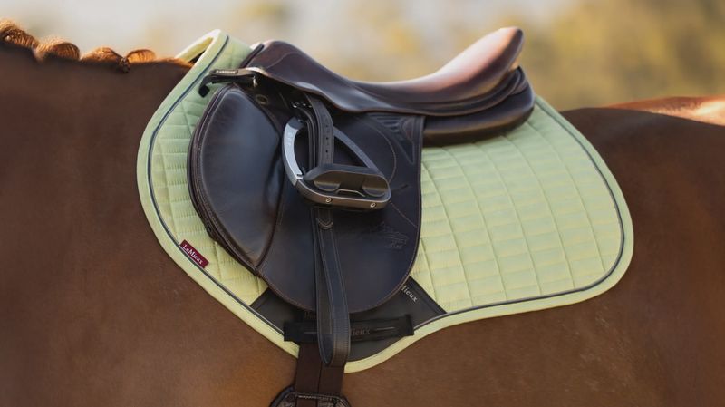 Lemieux suède jumping macaron L