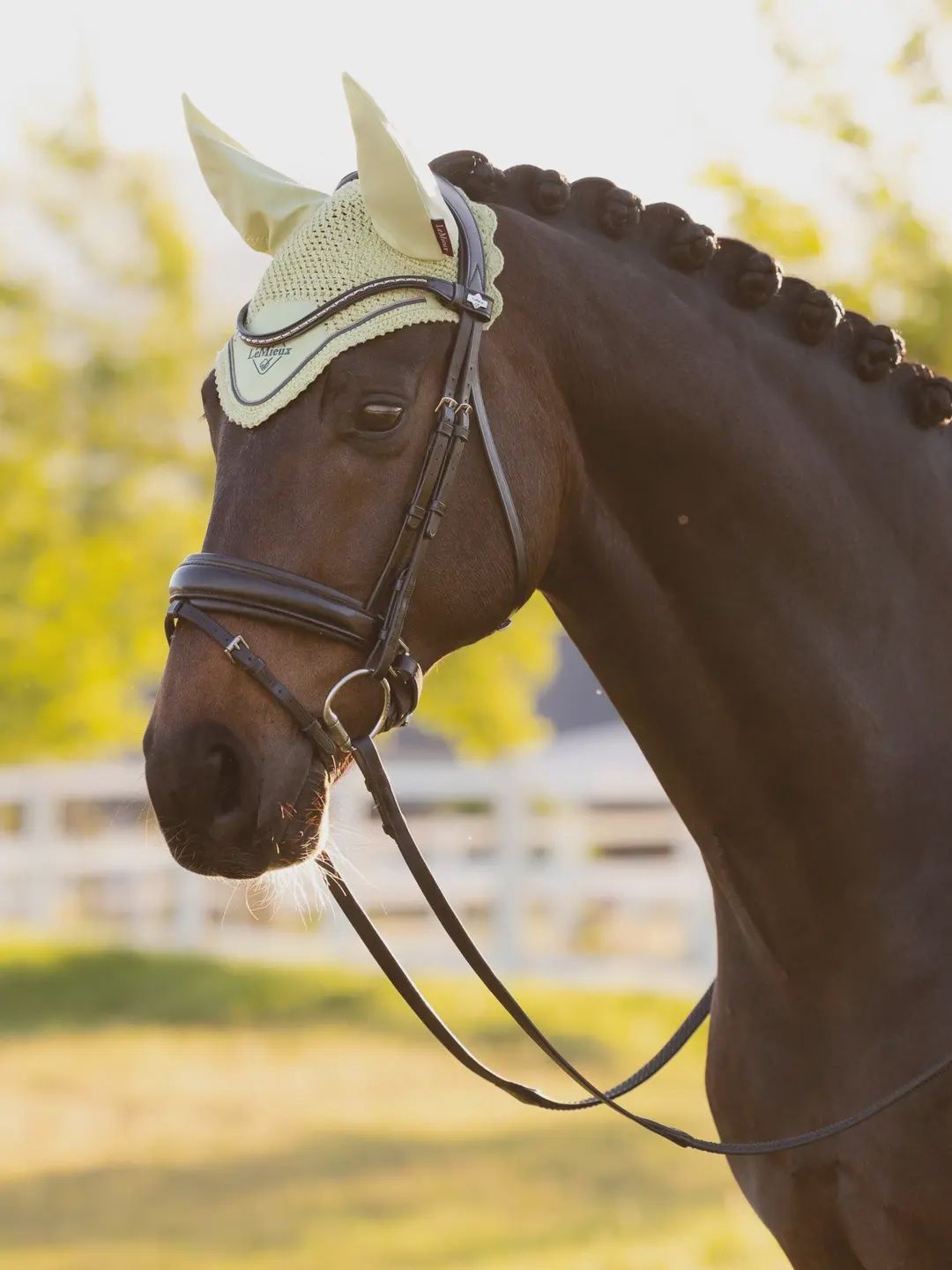 Lemieux oornet suède