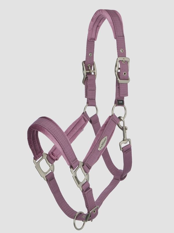 Lemieux versailles halster