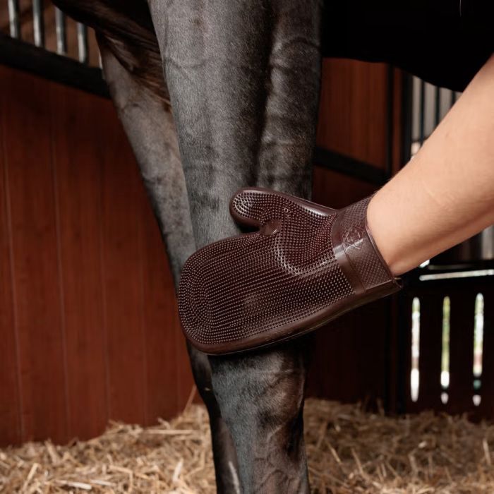 Grooming Deluxe rubber grooming glove
