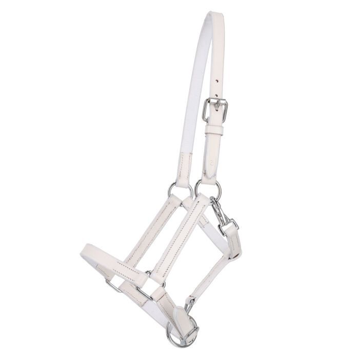 QHP veulenhalster leer met clip