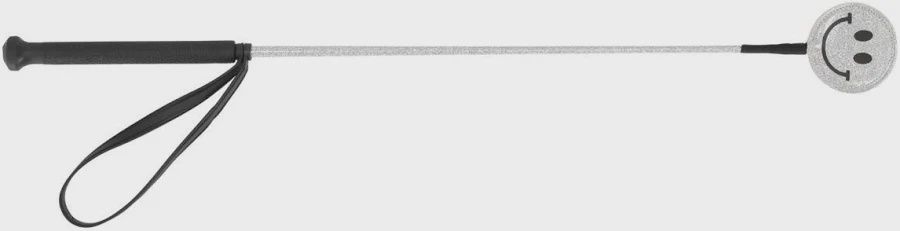 QHP rijzweep Rosalynn silver