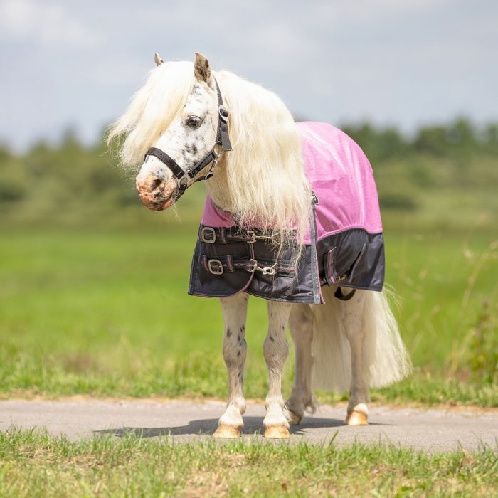 QHP turnout rug falabella collection 0gr cheery pink