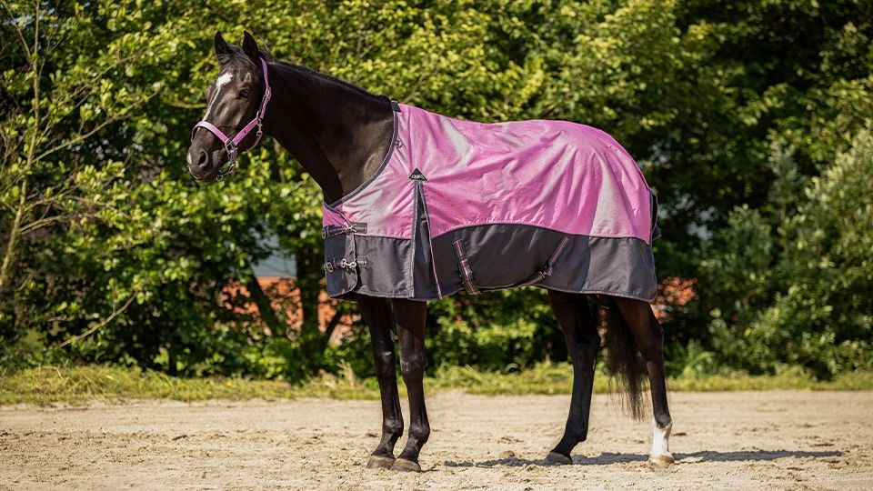 QHP turnout rug 0gr cheery pink