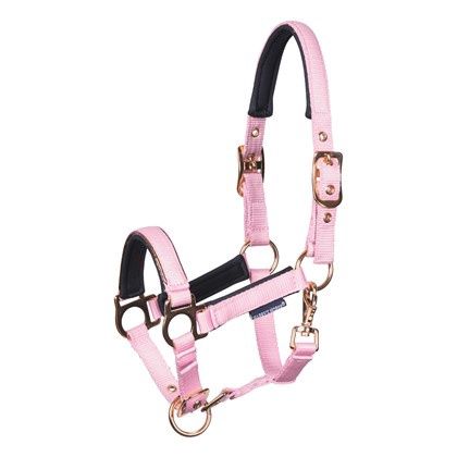 Harry’s Horse veulenhalster metal