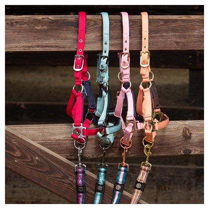 Harry’s Horse veulenhalster metal