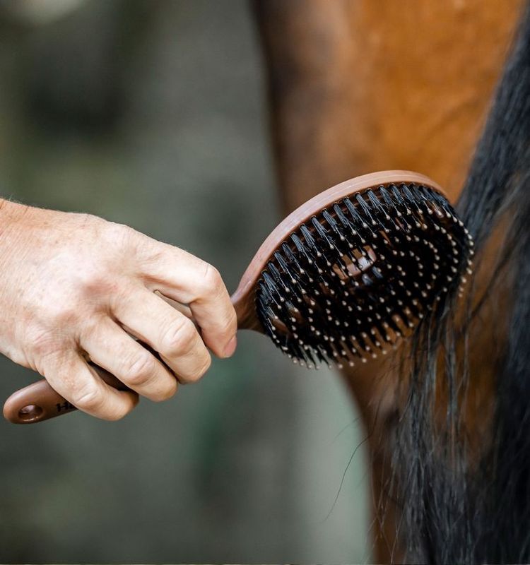 Horseware mane &amp; tale brush