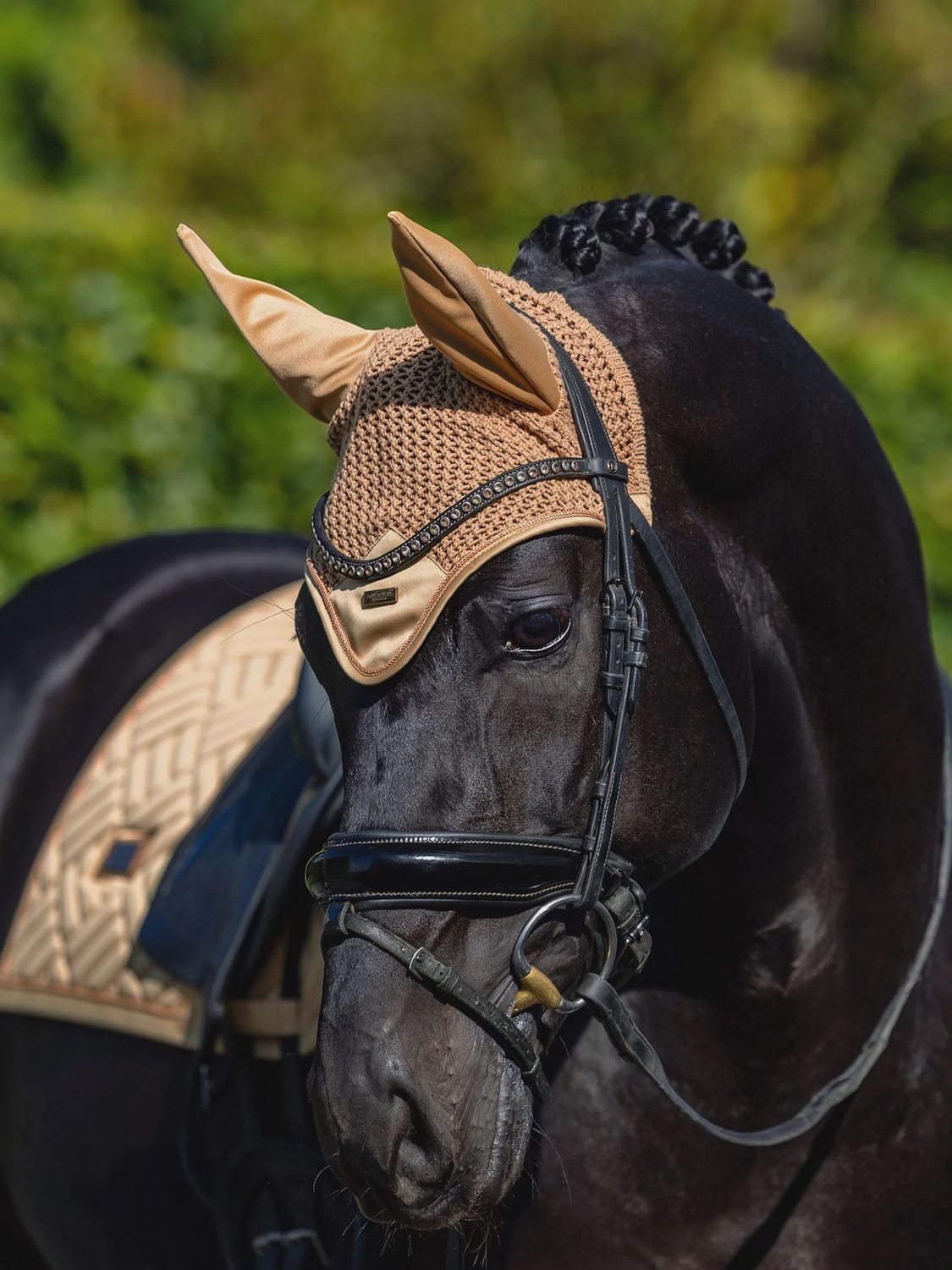 Equestrian Stockholm Oornetje Midsummer Glow