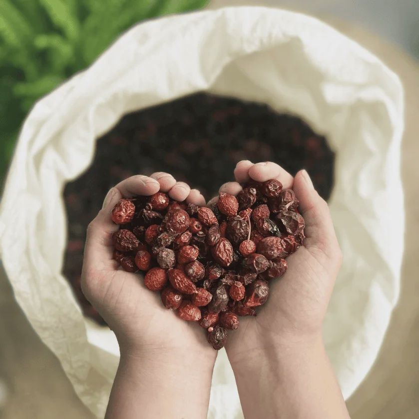 Horseflex Rozenbottel