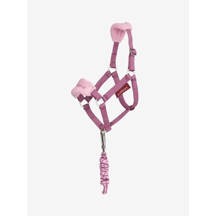 Lemieux hobby horse halster mallow