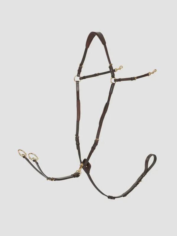 Lemieux Kudos breastplate