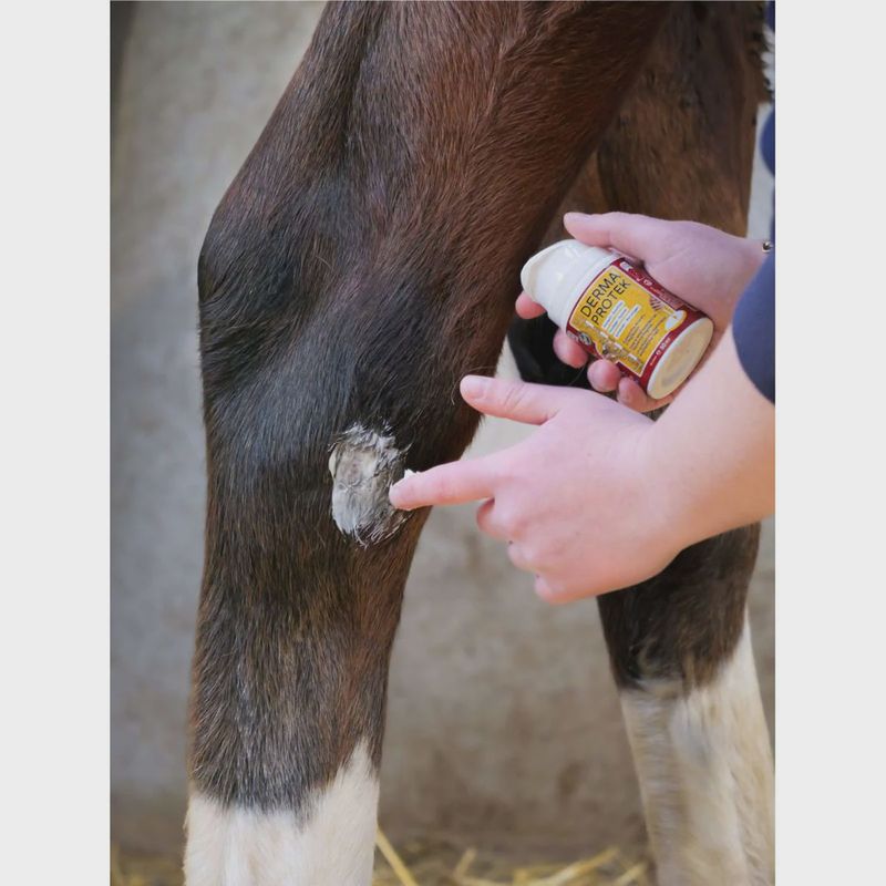 Kevin Bacon’s Derma Protek