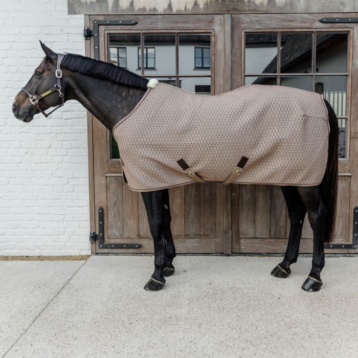 Kentucky 4D spacer cooler sheet