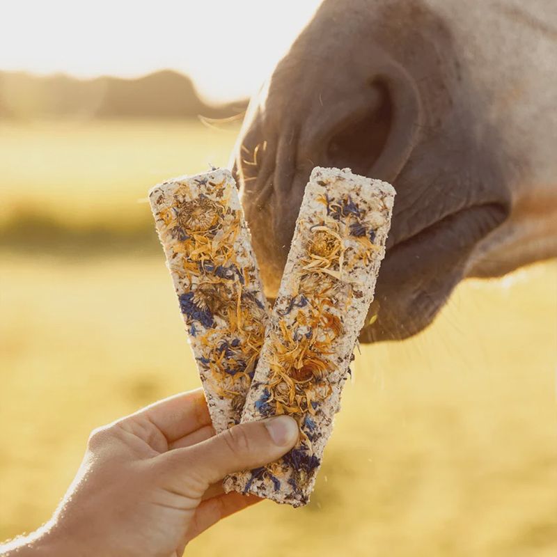 Horseflex Funky Bar