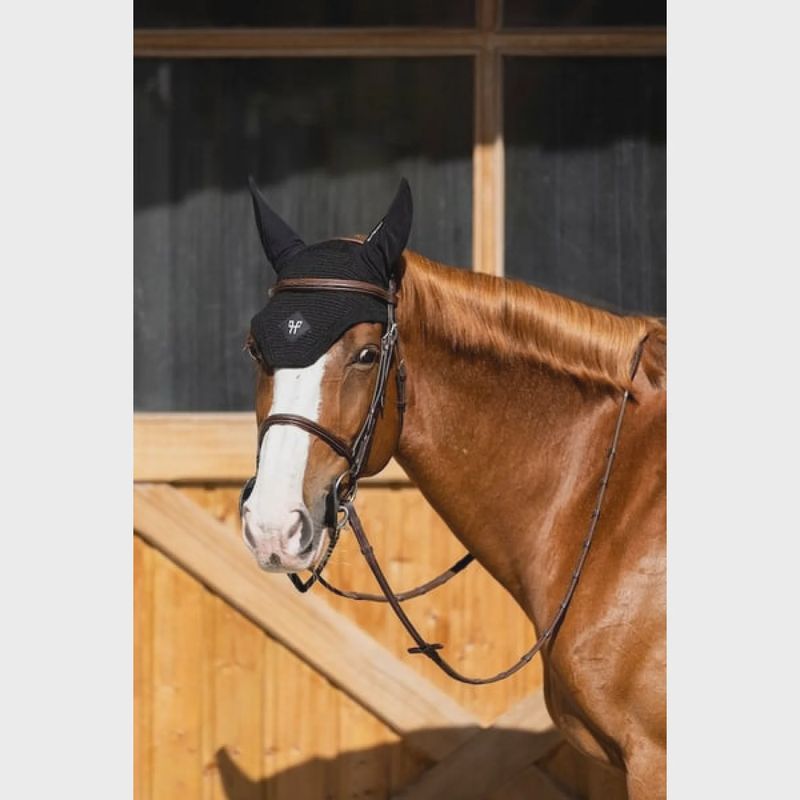 Horse Pilot oornet