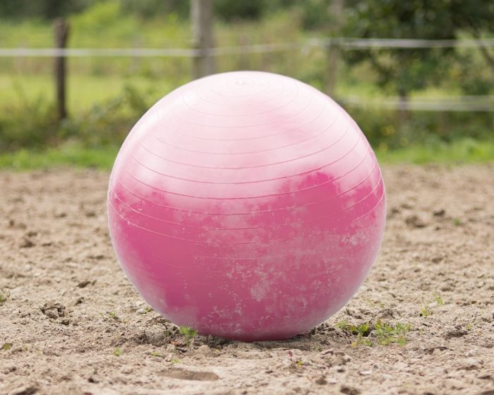 QHP paardenvoetbal roze 80-100cm