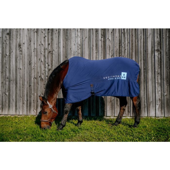 Equitheme cool &amp; dry deken