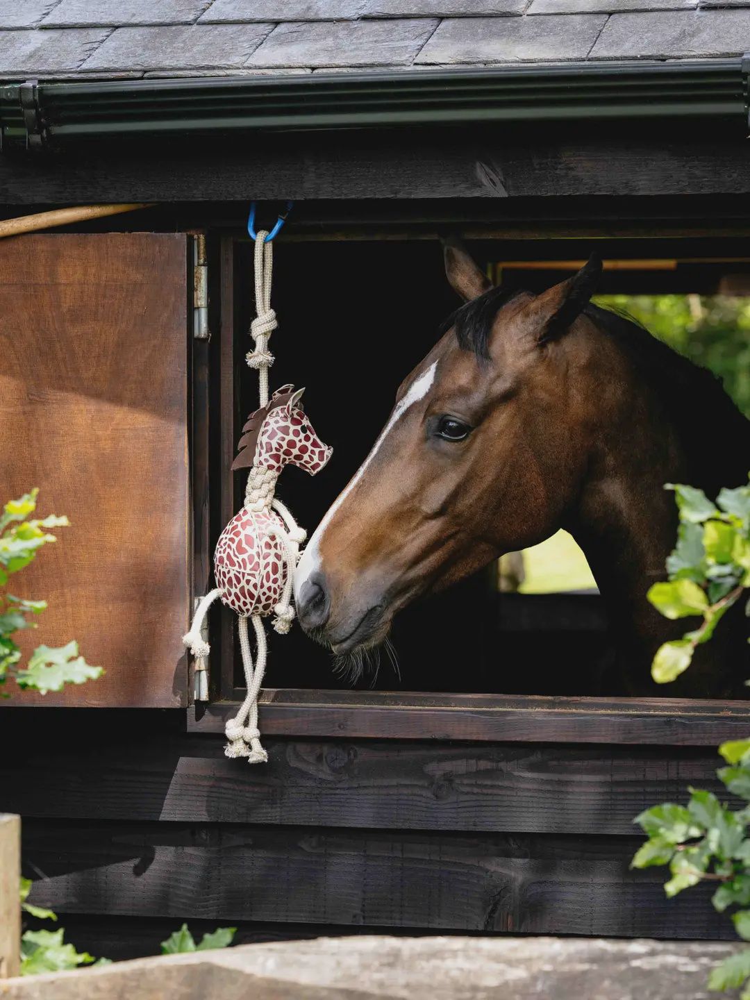 Lemieux horse toy giraf