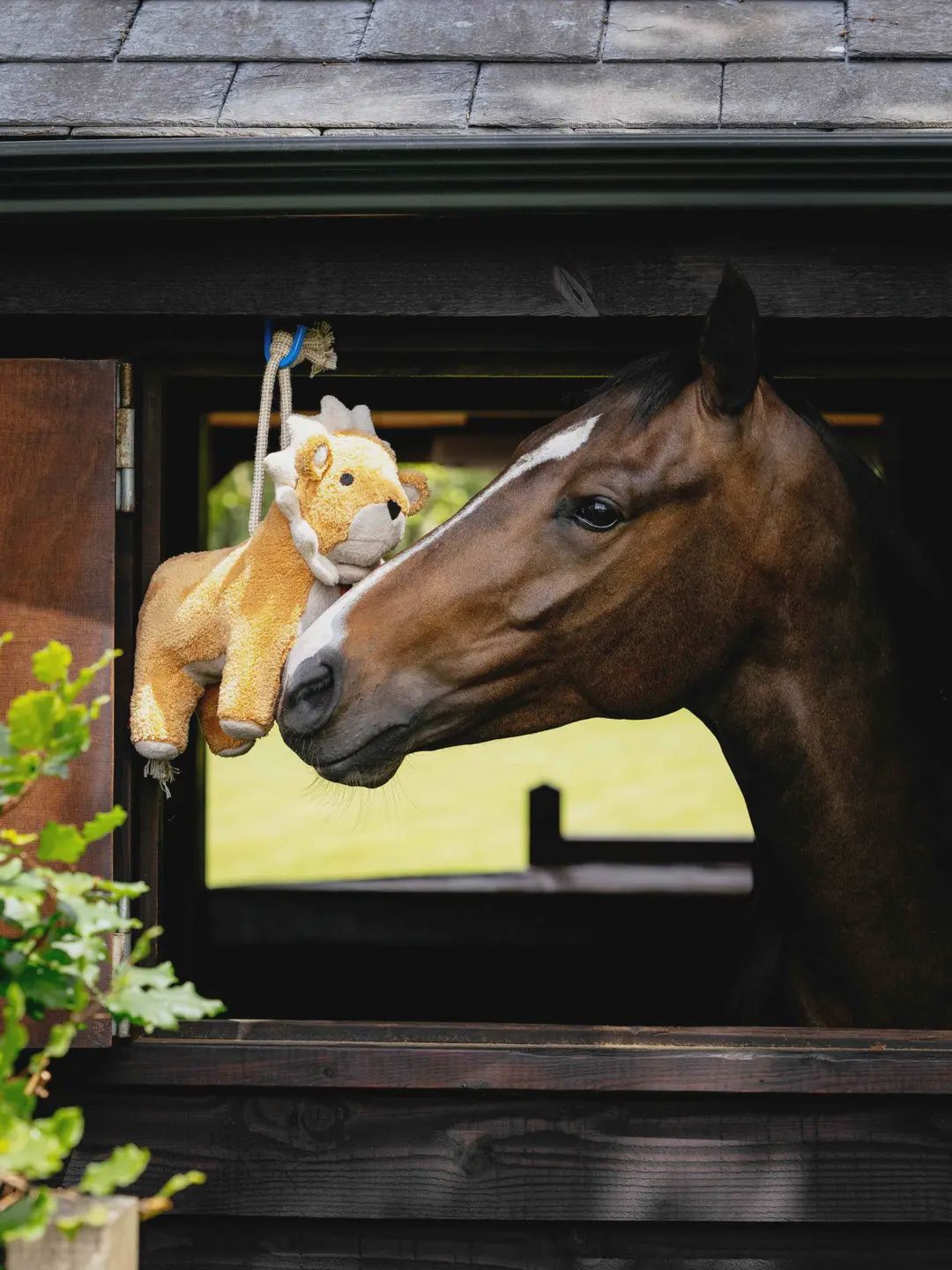 Lemieux horse toy leeuw