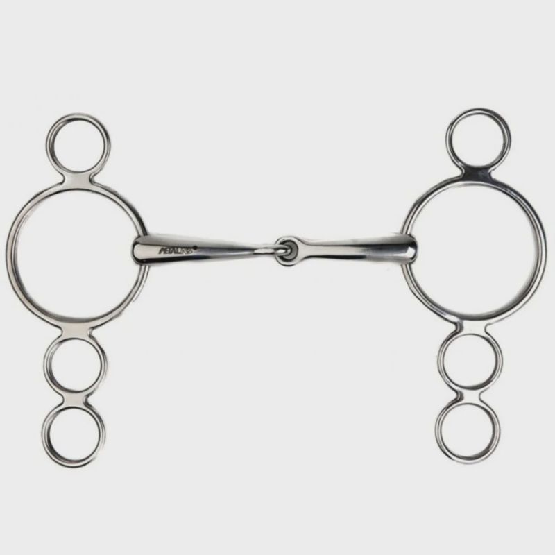 Metalab enkelgebroken Pessoa bit 4 ringen