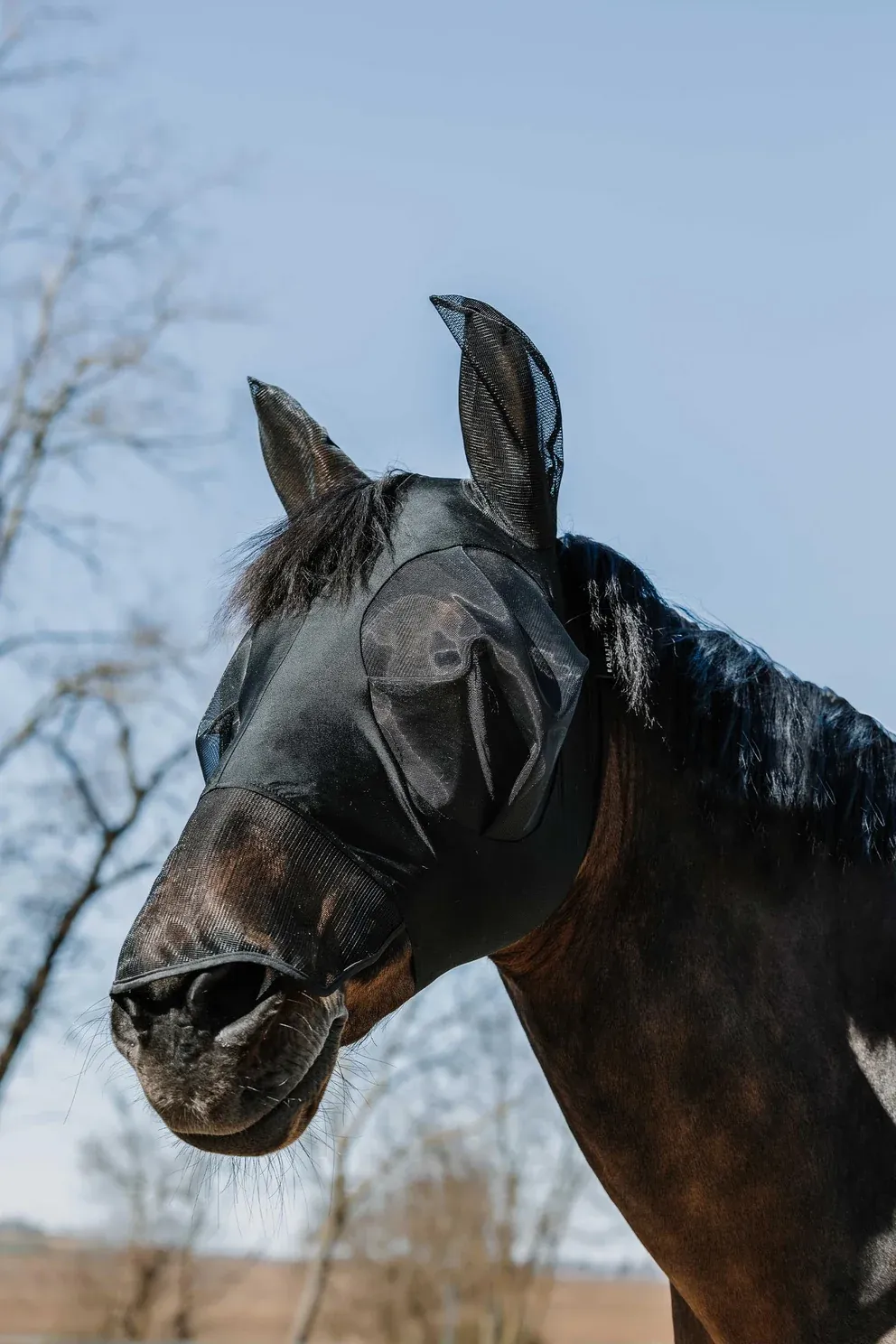 Equitheme lycra uv masker