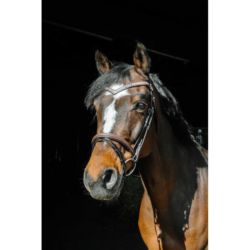 Norton pro oily athena hoofdstel