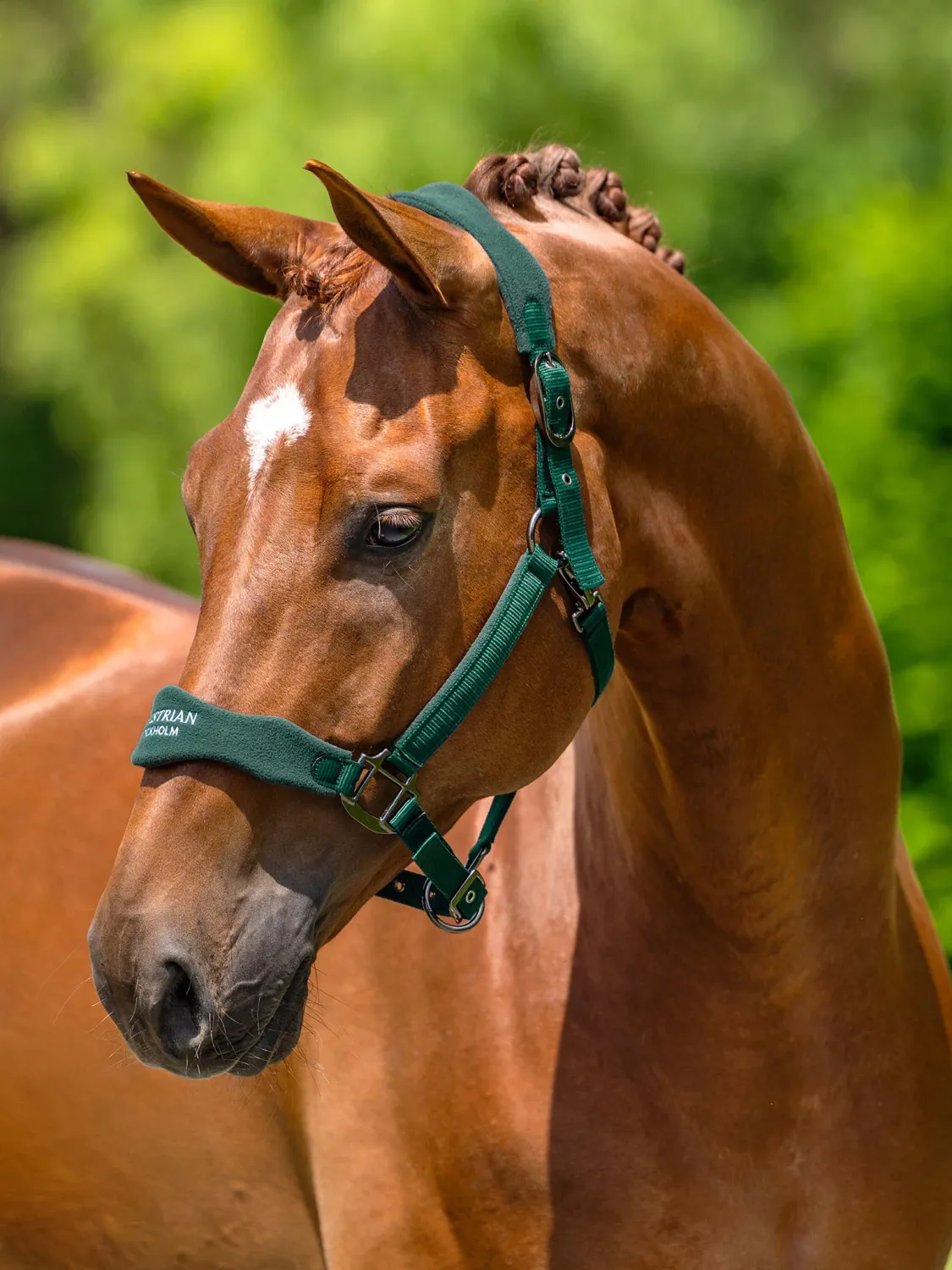 Equestrian Stockholm Anatomic Fleece Halter Sycamore Green