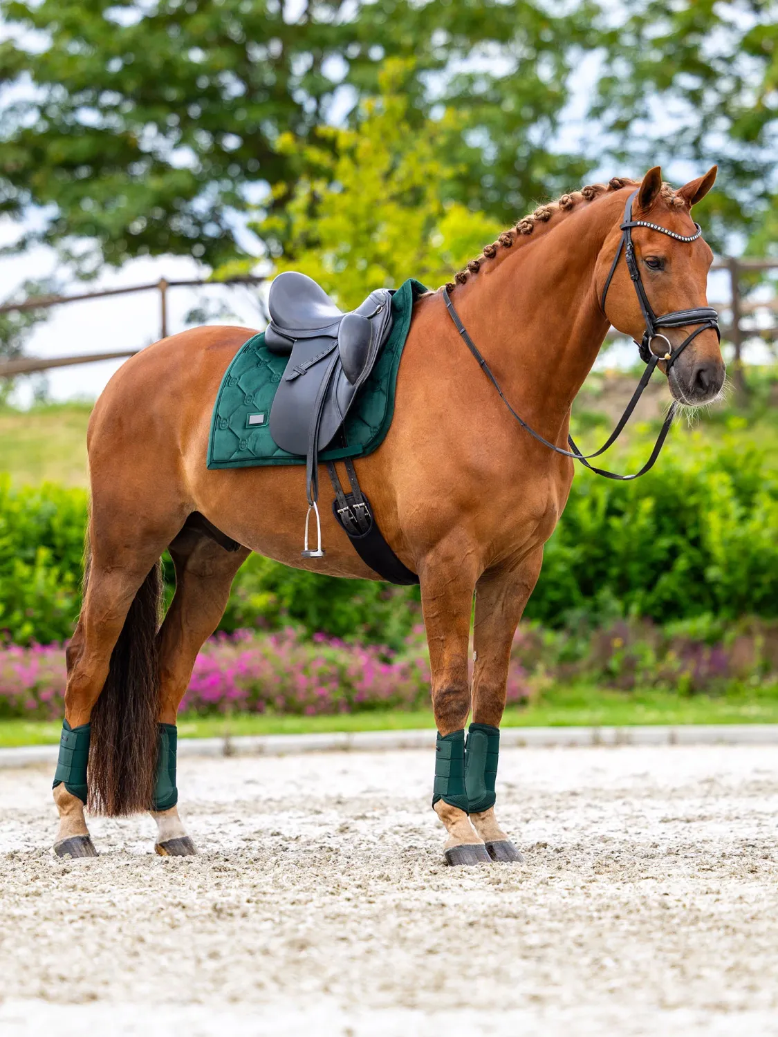 Equestrian Stockholm DRESSAGE Saddle Pad Velvet Sycamore Green