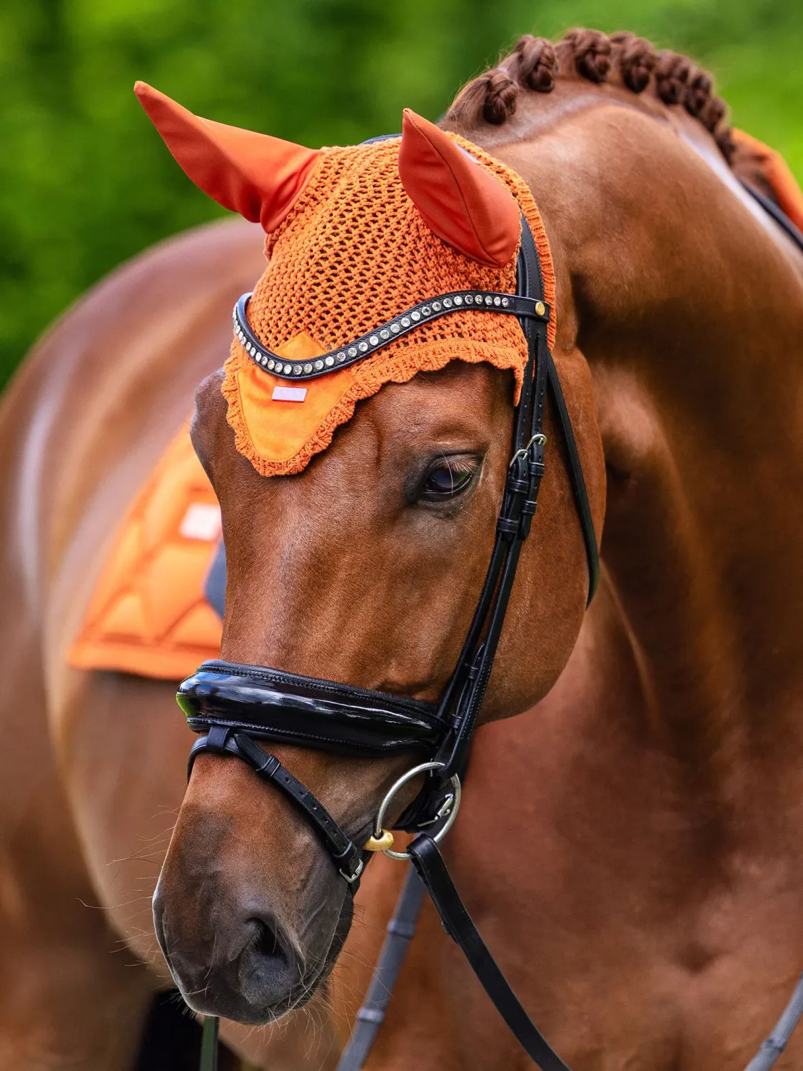 Equestrian Stockholm Ear Bonnet Velvet Chestnut