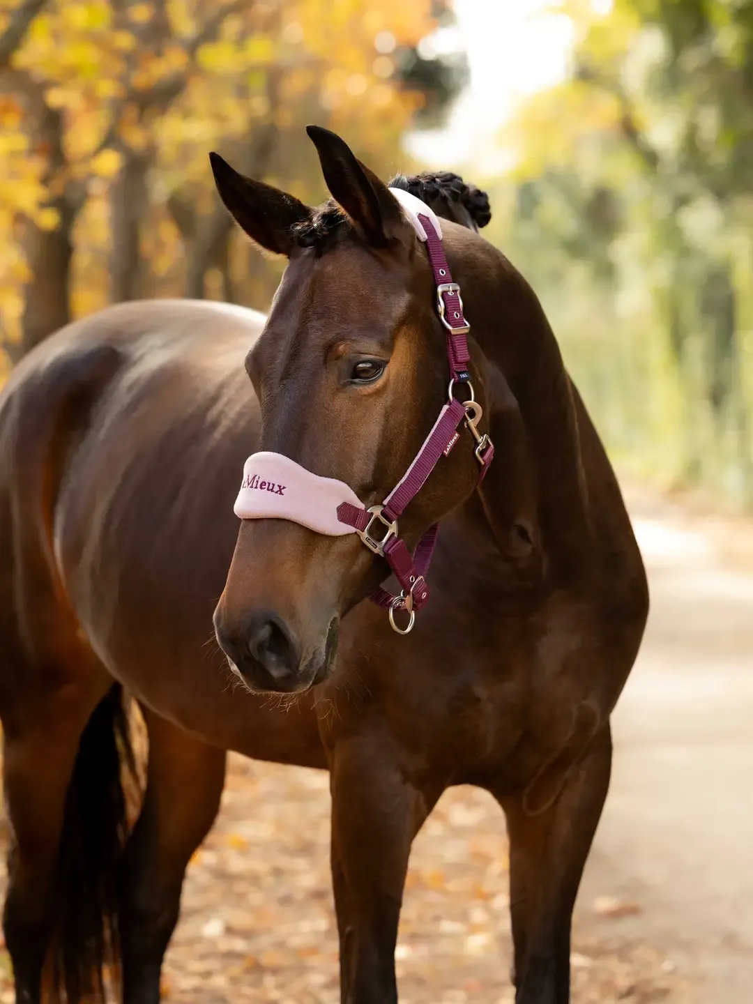Lemieux vogue halster met touw, Kleur: BlackBerry, Size: Pony