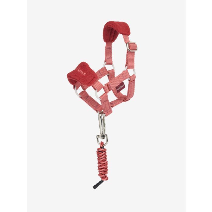 Lemieux toy pony halster spiced earth