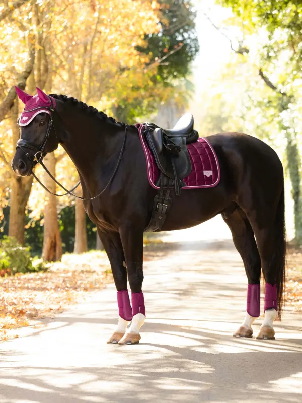 Lemieux Loire dressuur