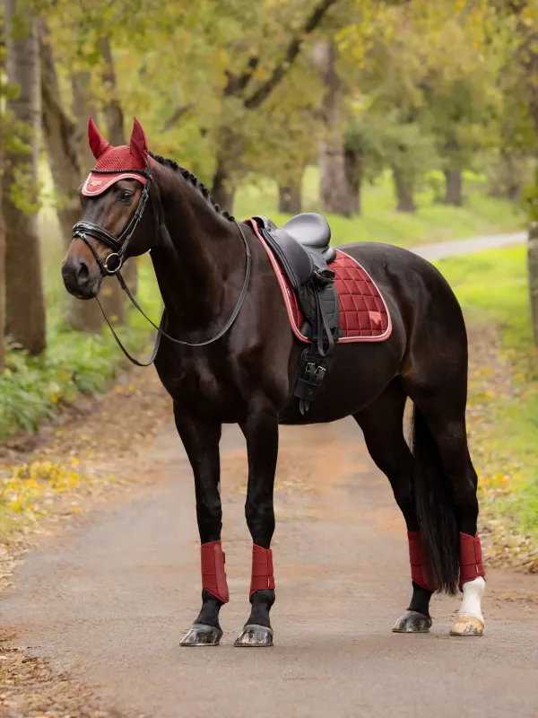 Lemieux Loire dressuur