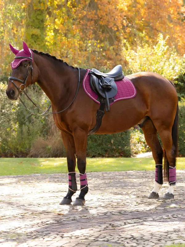Lemieux suède zadeldoek vz