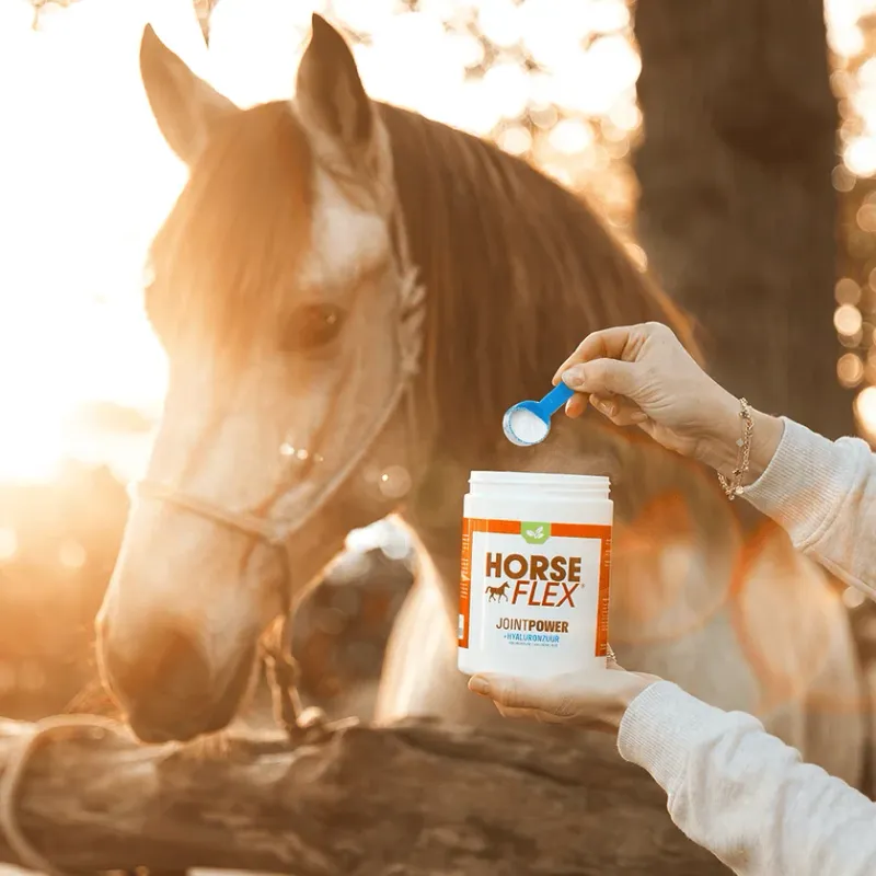 Horseflex Jointpower + hyaluronzuur