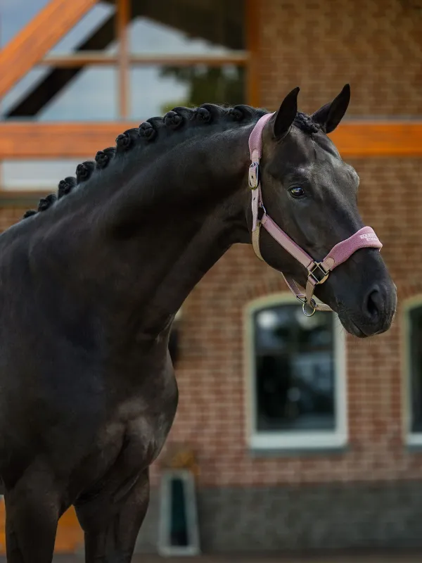 Equestrian Stockholm anatomic fleece halster blush