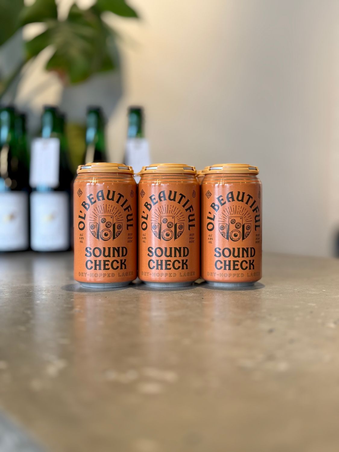 Ol Beautiful Sound Check Dry-Hopped Lager 6pk