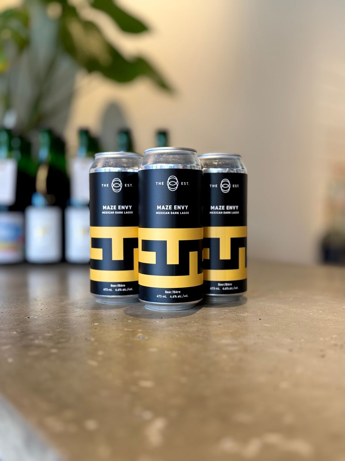 Establishment Maze Envy Mexican Dark Lager