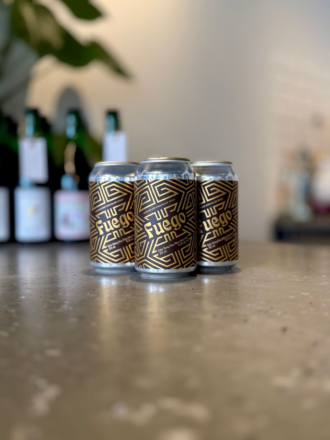 Cabin Fuego Mexican Hot Chocolate Stout